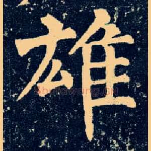 雄