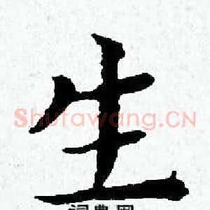 生