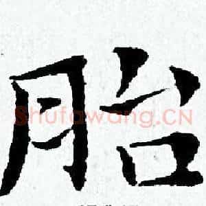 胎