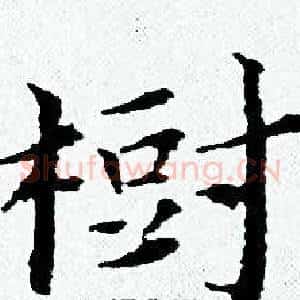 樹