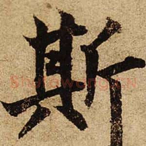 斯