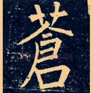 苍