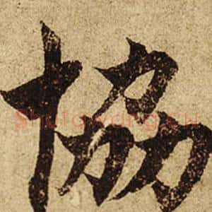 協