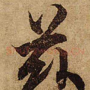 茲