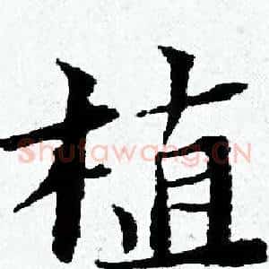 植