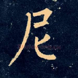 尼