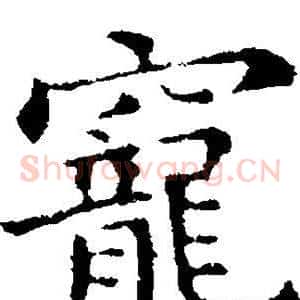 宠