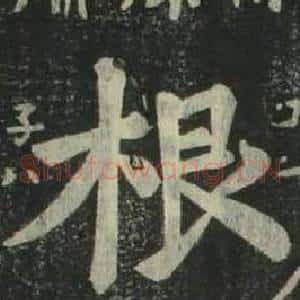 根