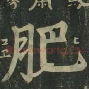肥