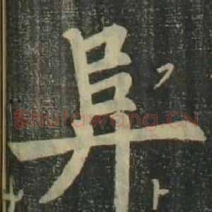 阜