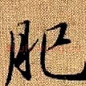 肥