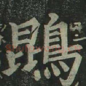 鵾