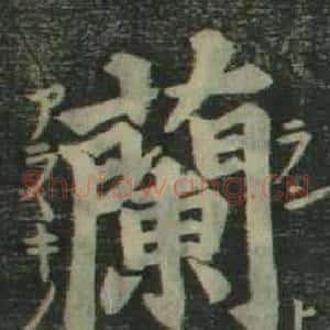 蘭