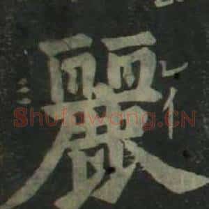 麗