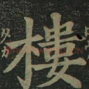 樓