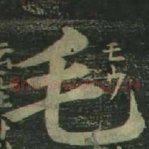 毛