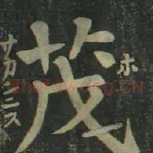 茂