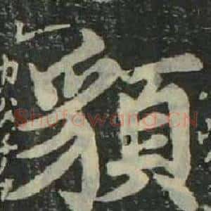 貌