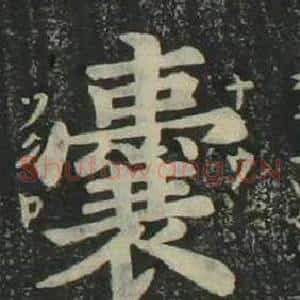 囊
