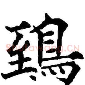 鴟
