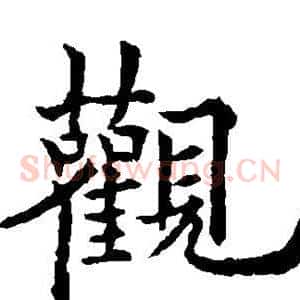 观
