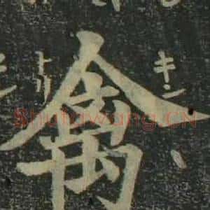 禽