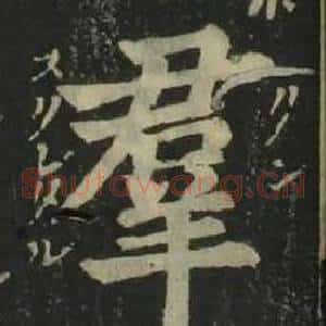 羣