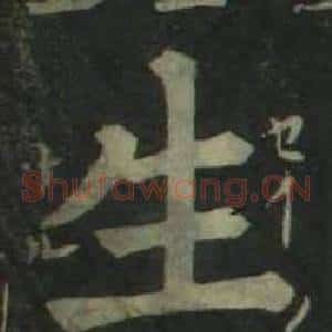 生