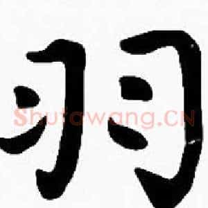 羽
