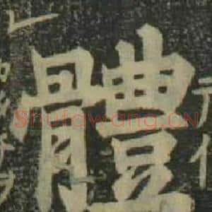 體