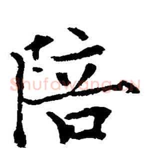 陪