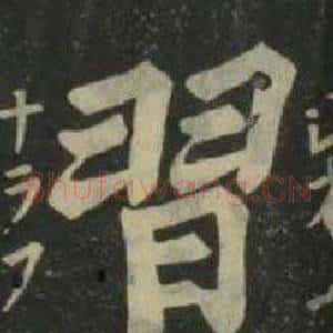 習