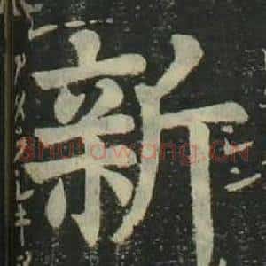 新