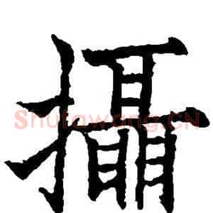 摄