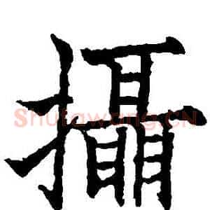 攝