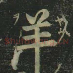 羊