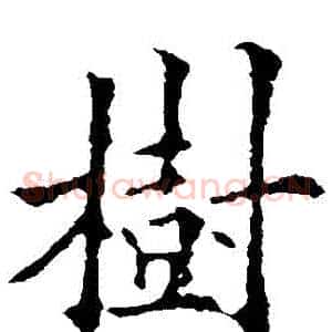 樹