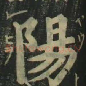 陽