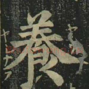 養