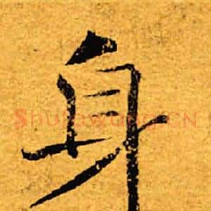 身