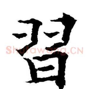 习