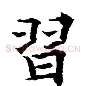 習
