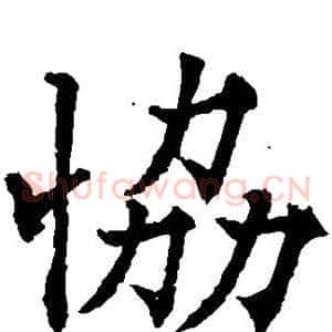协