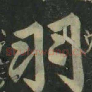 羽