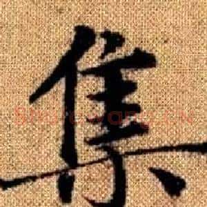 集
