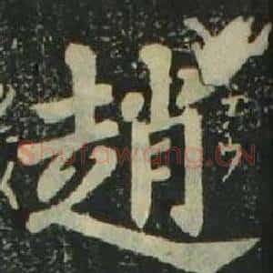 趙