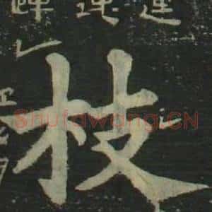 枝