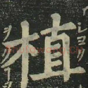 植