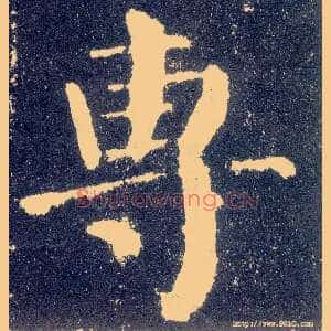 专