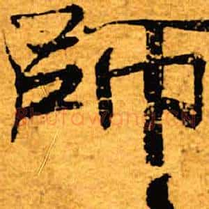 师